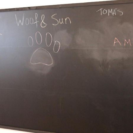 Woof & Sun Esmoriz Exterior foto