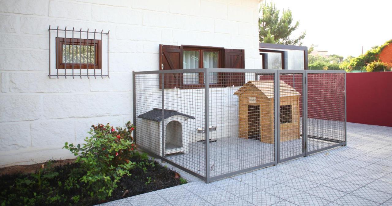 Woof & Sun Esmoriz Exterior foto