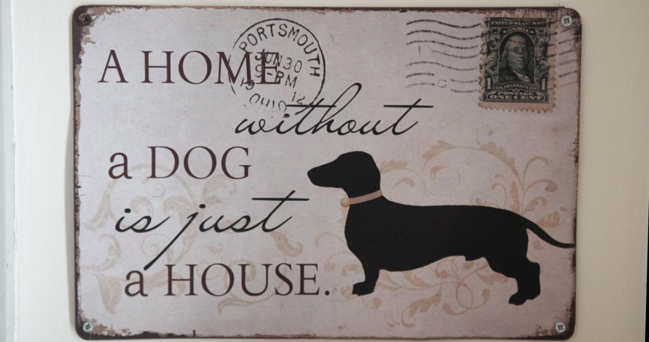 Woof & Sun Esmoriz Exterior foto